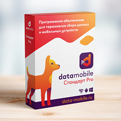 ПО DataMobile, версия Стандарт Pro в Ангарске